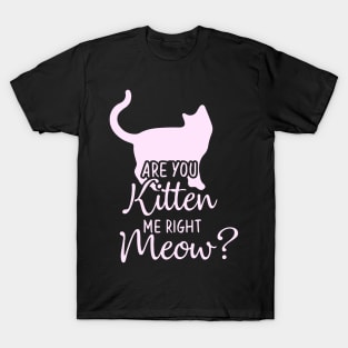 Funny Cat Phrase, Are You Kitten Me Meow T-Shirt